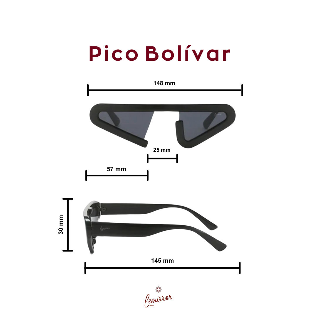 Pico Bolívar